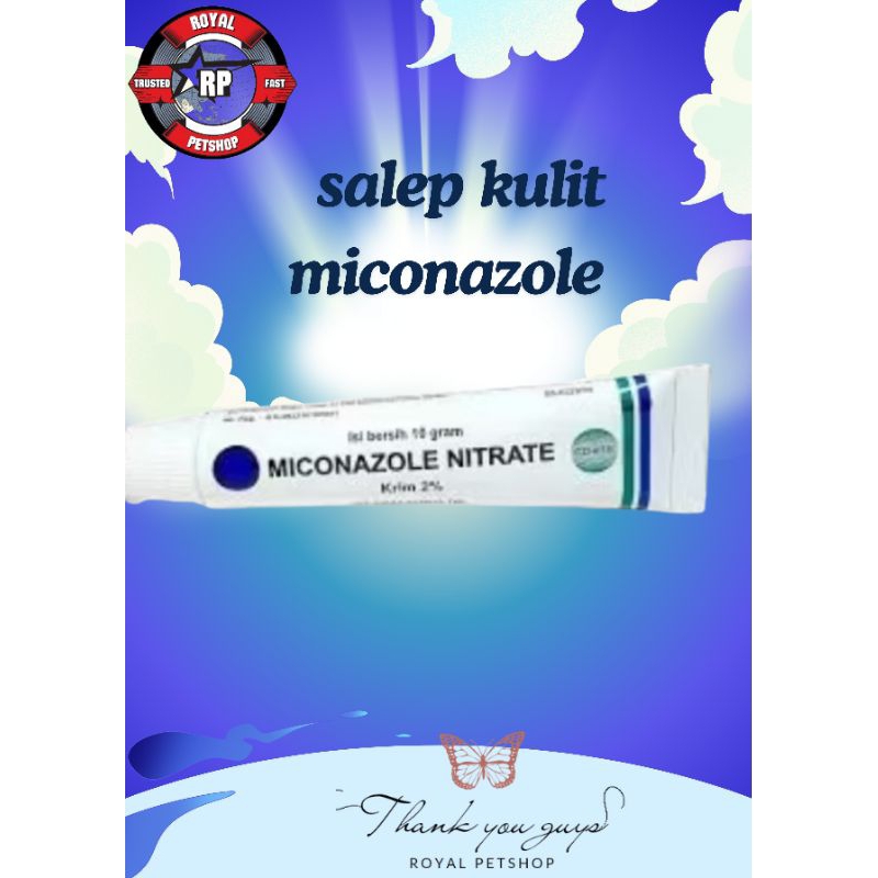 salep kulit jamur kucing miconazole cream