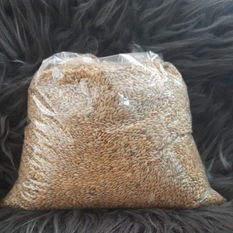 kenari seed 1kg pakan burung.