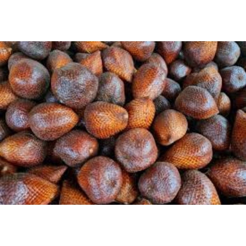 

salak pondok berat 500grm