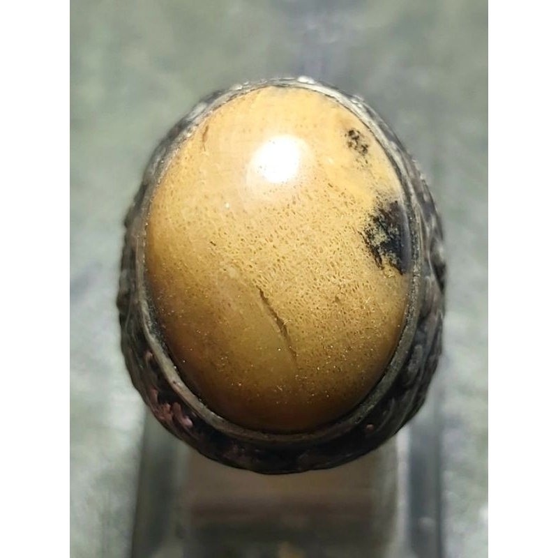 F0sil Bambu Kuning