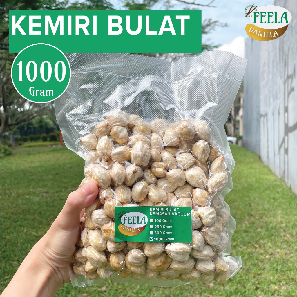 

Kemiri Bulat Utuh 1Kg 1000gr 1000 Gram - Biji Kemiri Fresh - Khas NTT