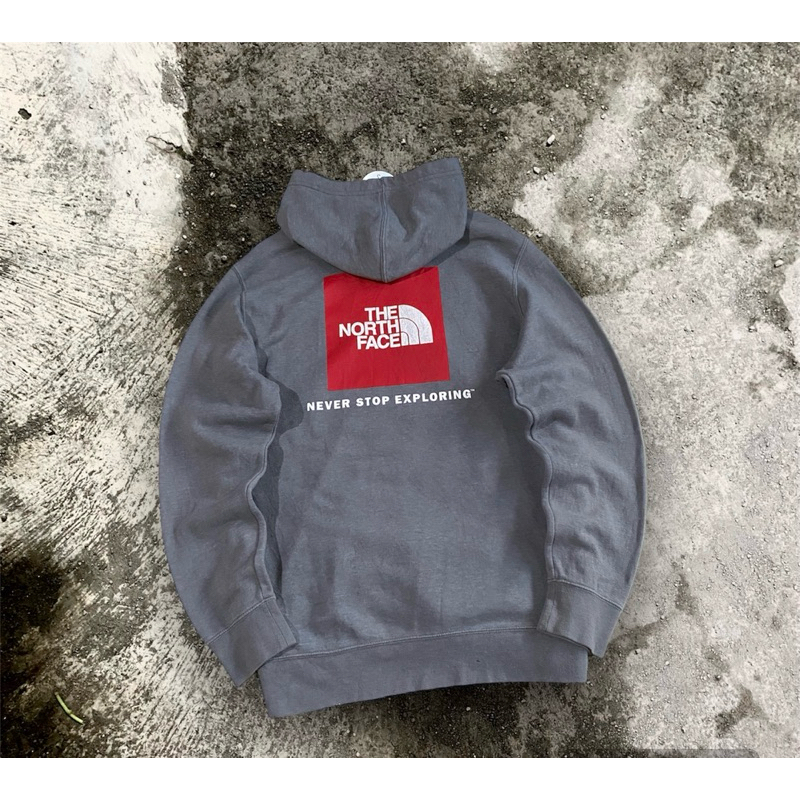 hoodie the north face second