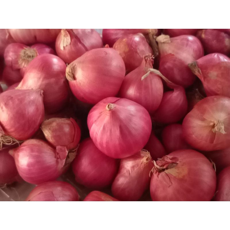 

BAWANG MERAH SUPER / Brambang super/500gram&1000gram