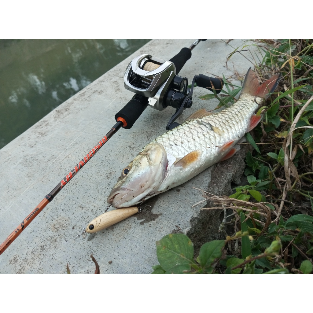 WTD Kayu / WTD Air Keruh/ lure HANDMADE /topwatter lure hampala/ umpan tiruan/ SENGKUNI lure