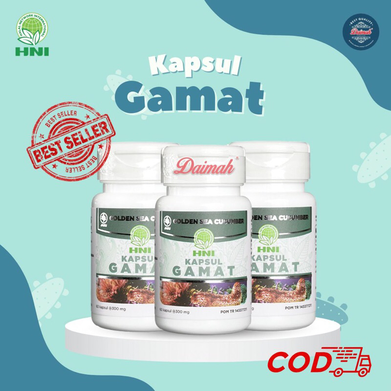 OBAT HERBAL AMPUH UNTUK MENGATASI MASALAH PERSENDIAN ASAM URAT KOLESTEROL GAMAT HNI HPAI