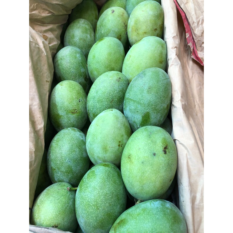

MANGGA MADU / MANALAGI