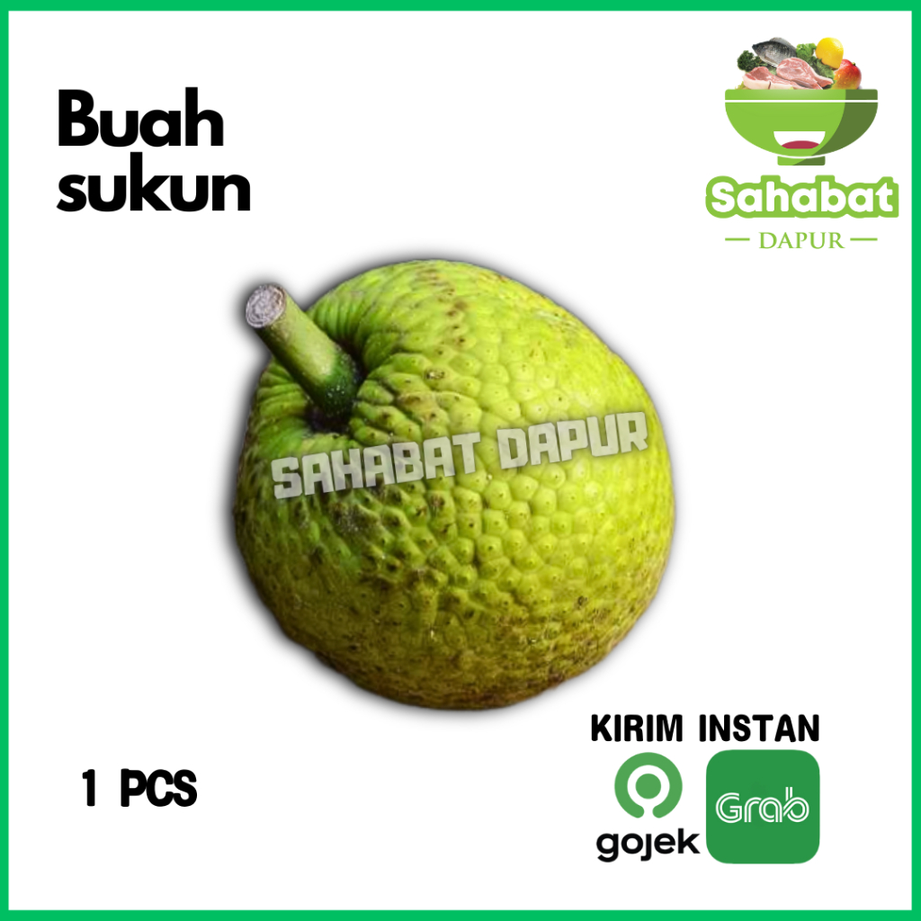 

Buah Sukun Segar 1 pcs - Sahabatdapur