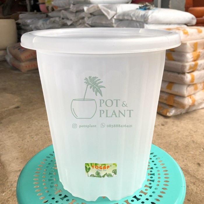 PROMO BESAR 12 LUSIN Pot Plastik Yogap 23cm YPT19 Bening Transparan