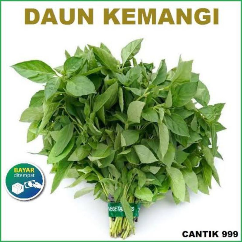 

daun kemangi 1 ikat