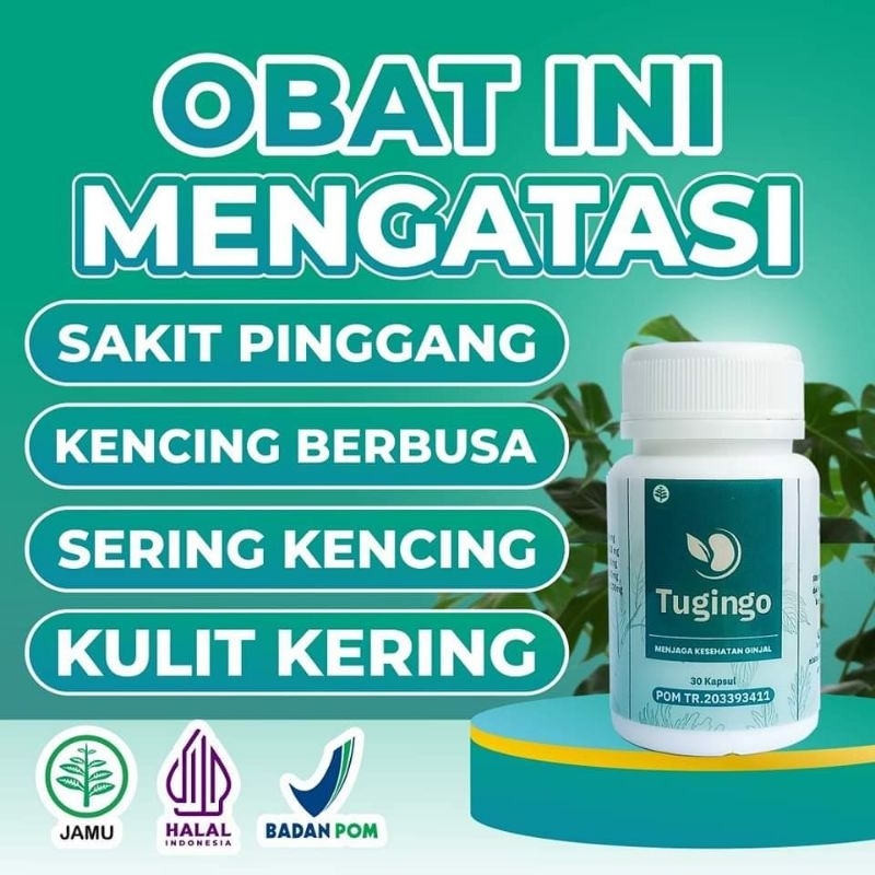 Tugingo Original Obat Herbal Batu Ginjal Tugingo