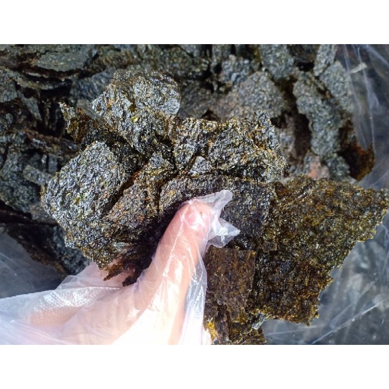 

Cuci Gudang REMAHAN RUMPUT LAUT NORI 2 ML 3438GR