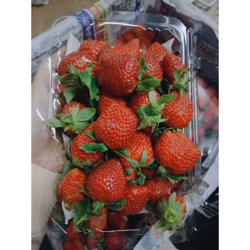 

Strawberry Fresh 500gr