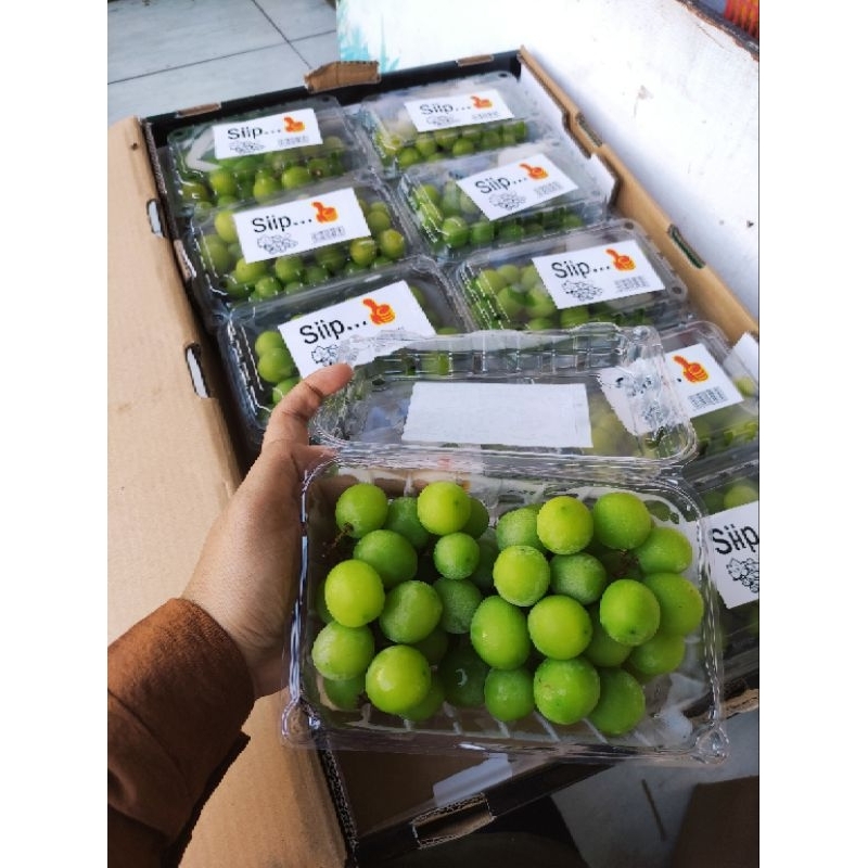 

Buah anggur hijau muscat pack