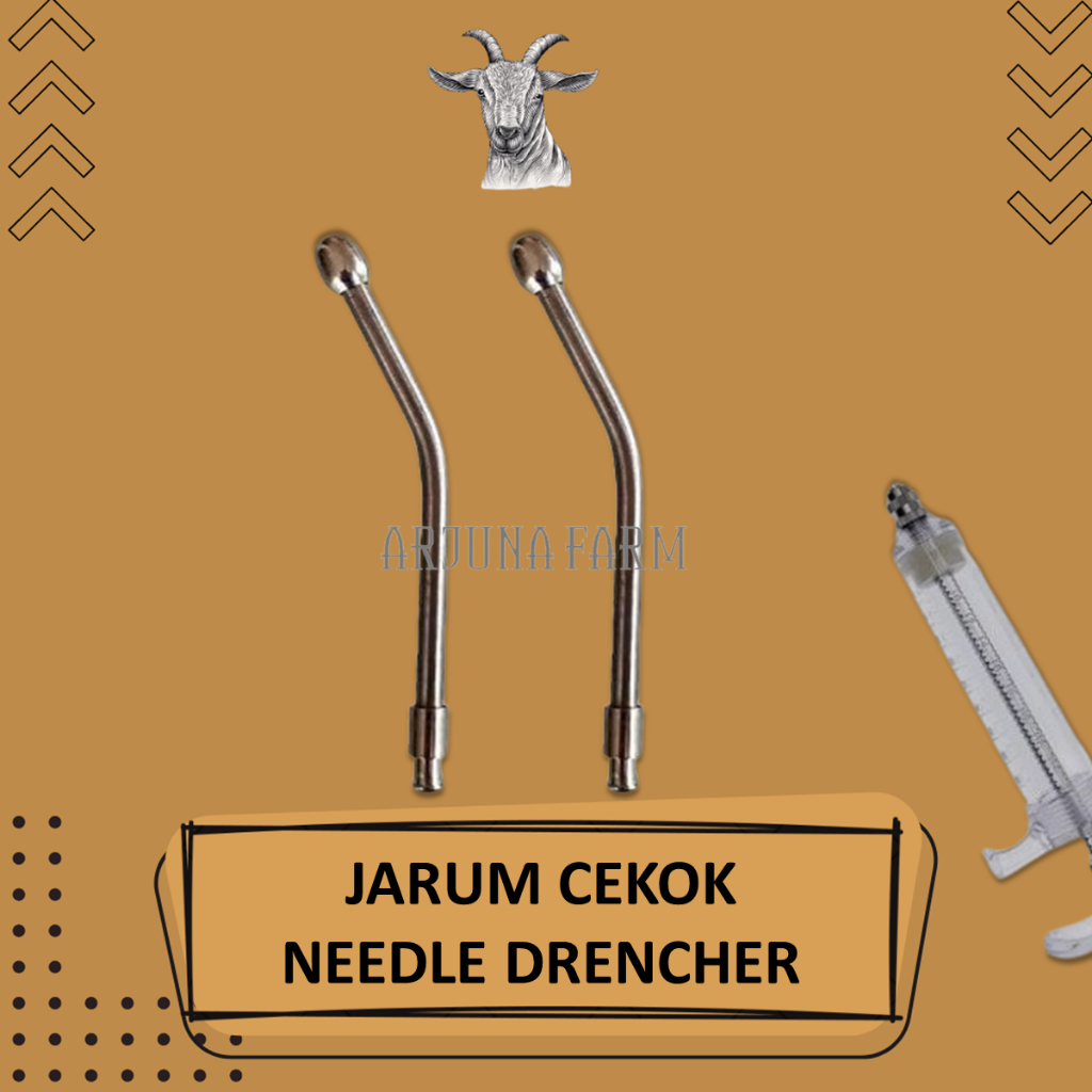 Suntikan Jarum Cekok Kambing Domba Sapi Spet Lolohan Parrot Farm