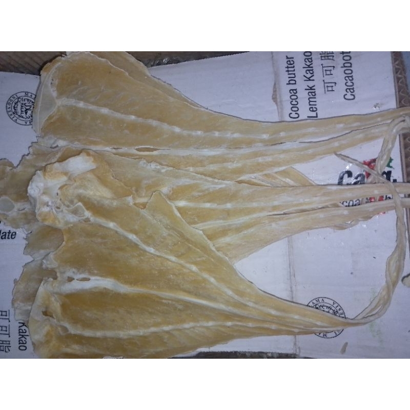 

Ikan pari tipis asli medan