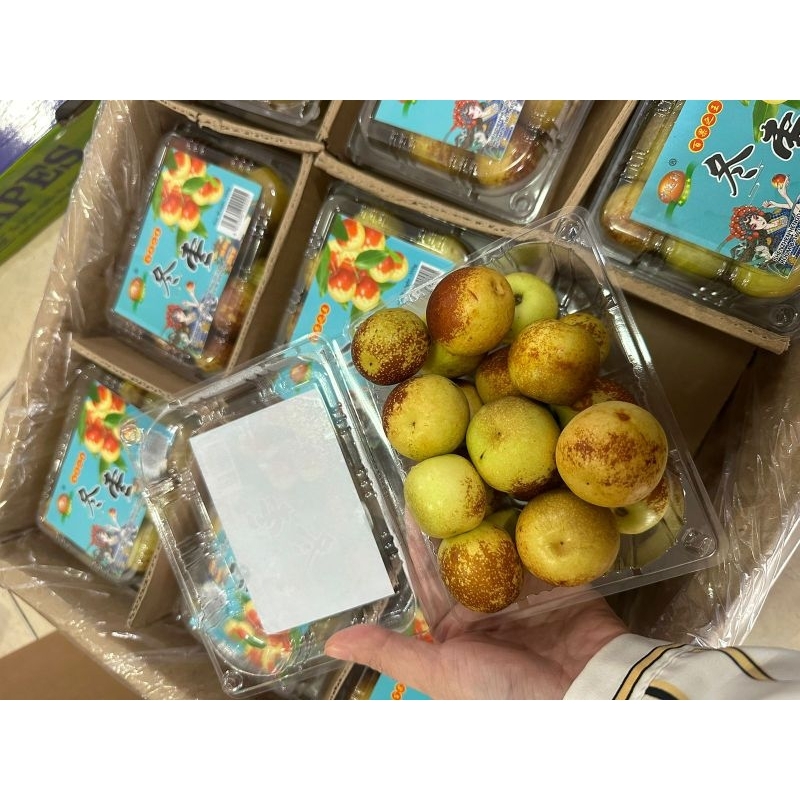 

JUJUBE ENAK MANIS BUAH KECIL LUCU IMUT FRESH SEGAR. HARGA TERJANGKAU JARANG ADA