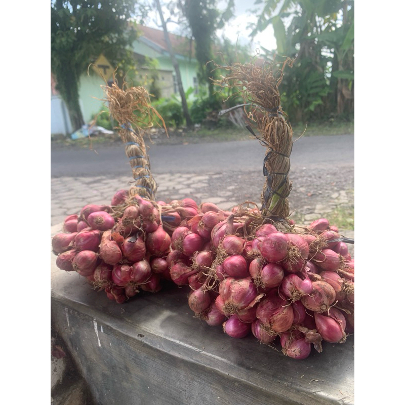 

BAWANG MERAH IKAT