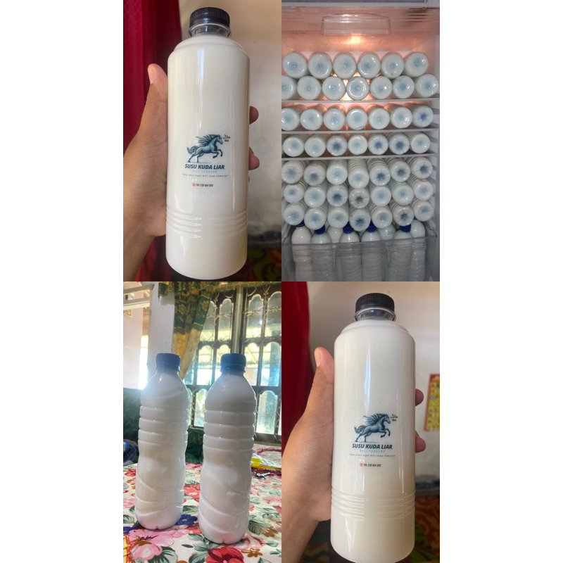 

Susu Kuda Liar Asli sumbawa