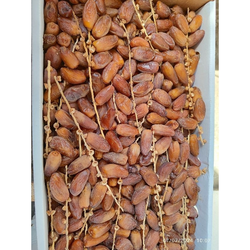 

kurma