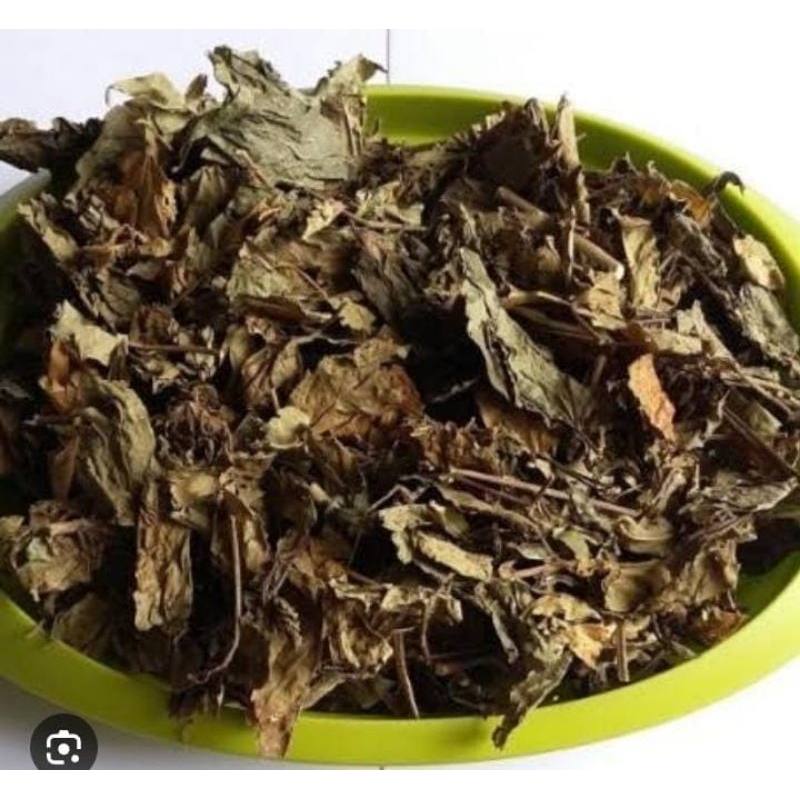 

Daun Bunga Sepatu Kering 250 Gram Termurah Obat Herbal Tradisional