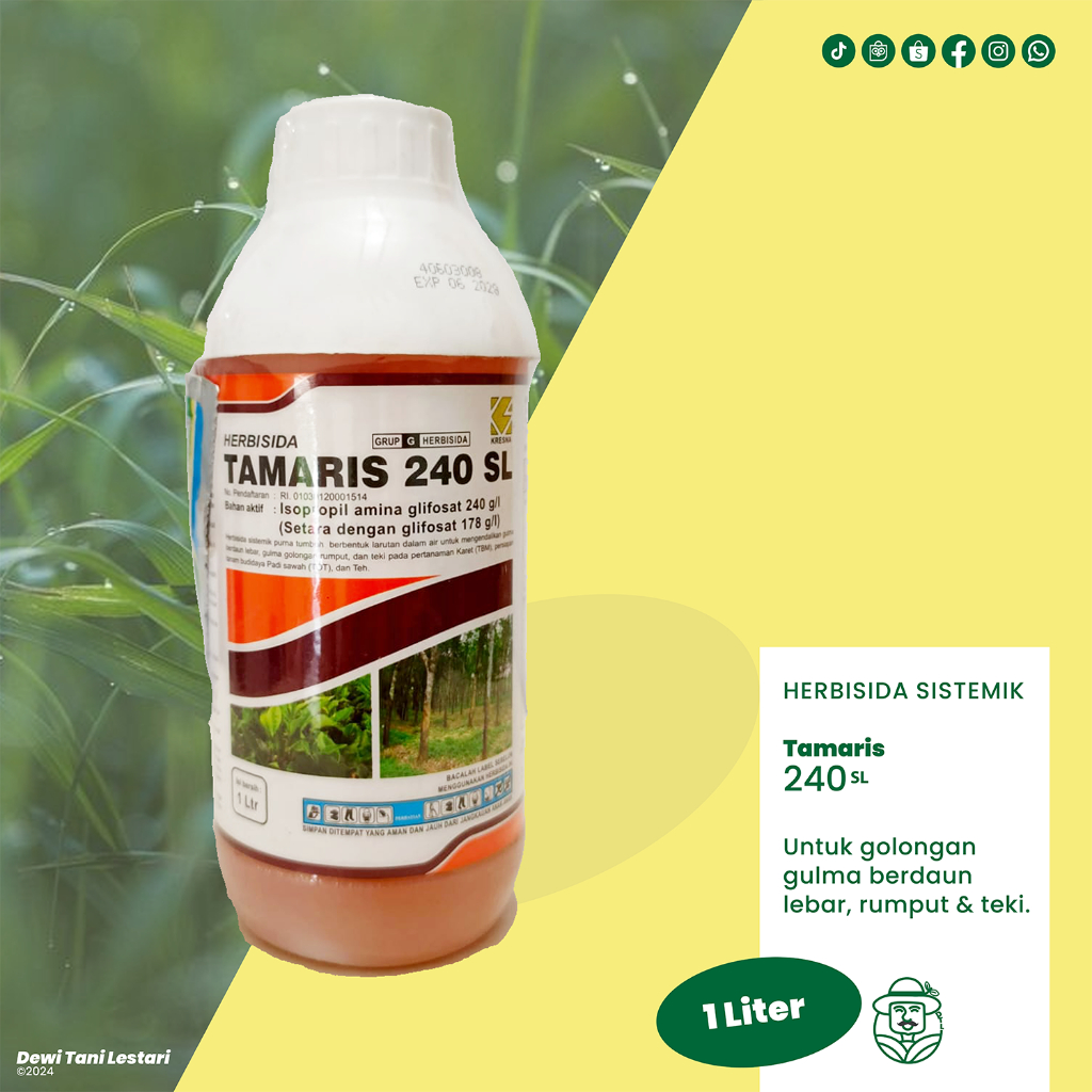 Tamaris 240 SL Herbisida Sistemik/Obat Rumput (1 Liter)
