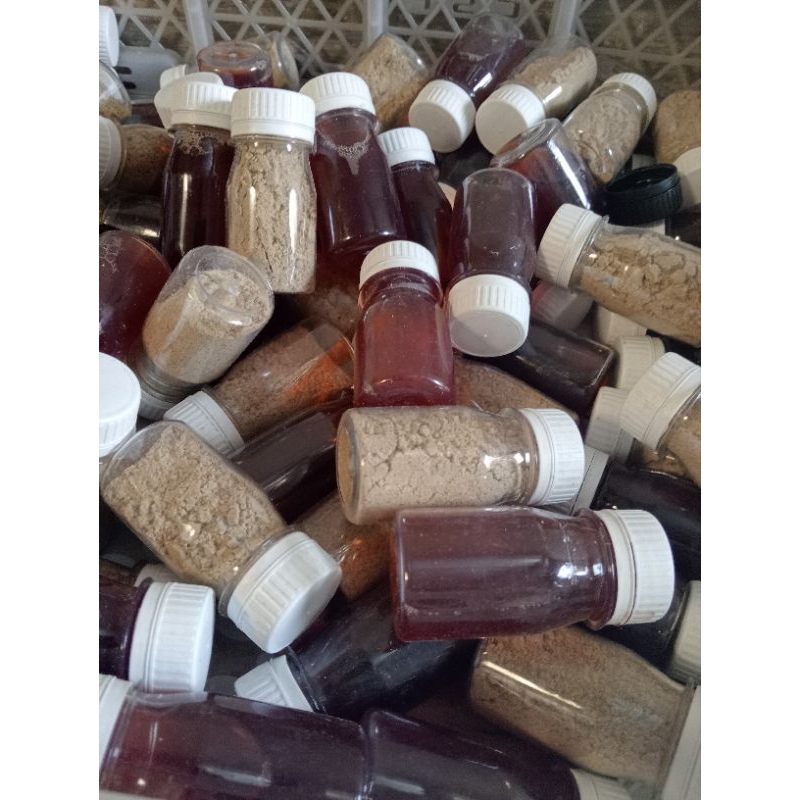 sadek jangkrik,doping jangkrik,jamu penambah stamina