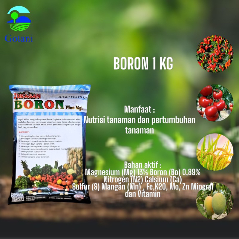 Boron Plus MgO 1 KG
