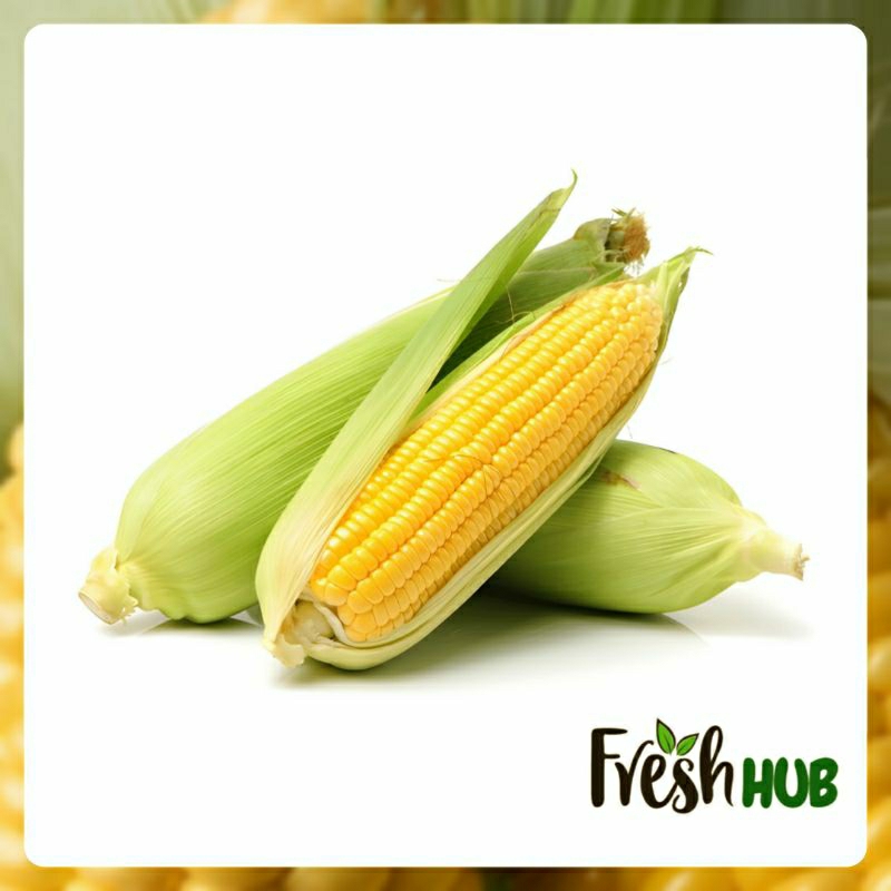 

Jagung Manis 1 Buah