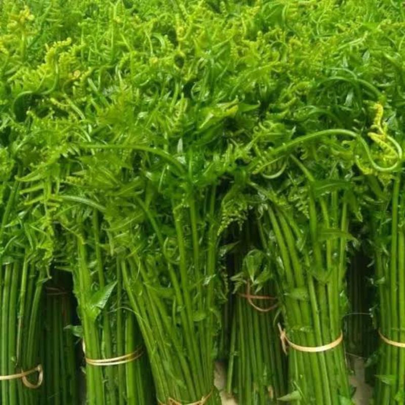 

sayur pukis