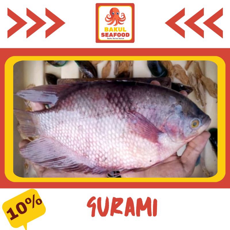 

GURAMI 500GR-1000GR