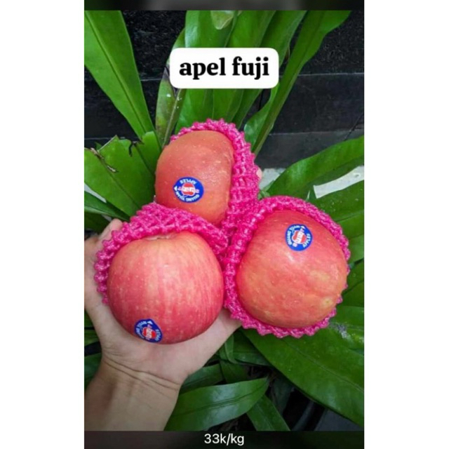 

apel fuji