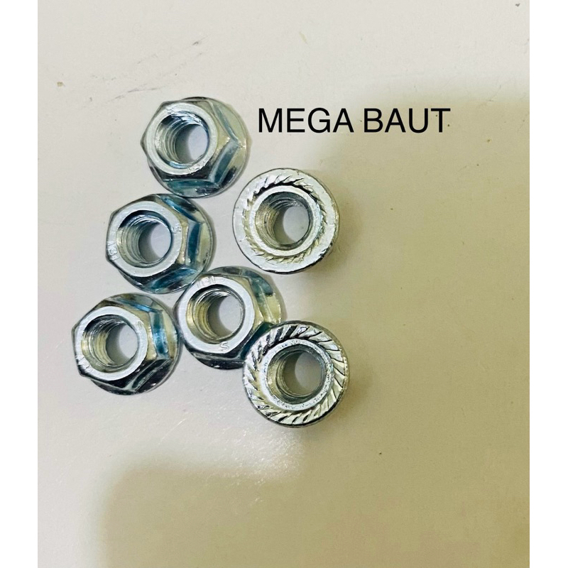 Mur Topi 10 M6 flange nut