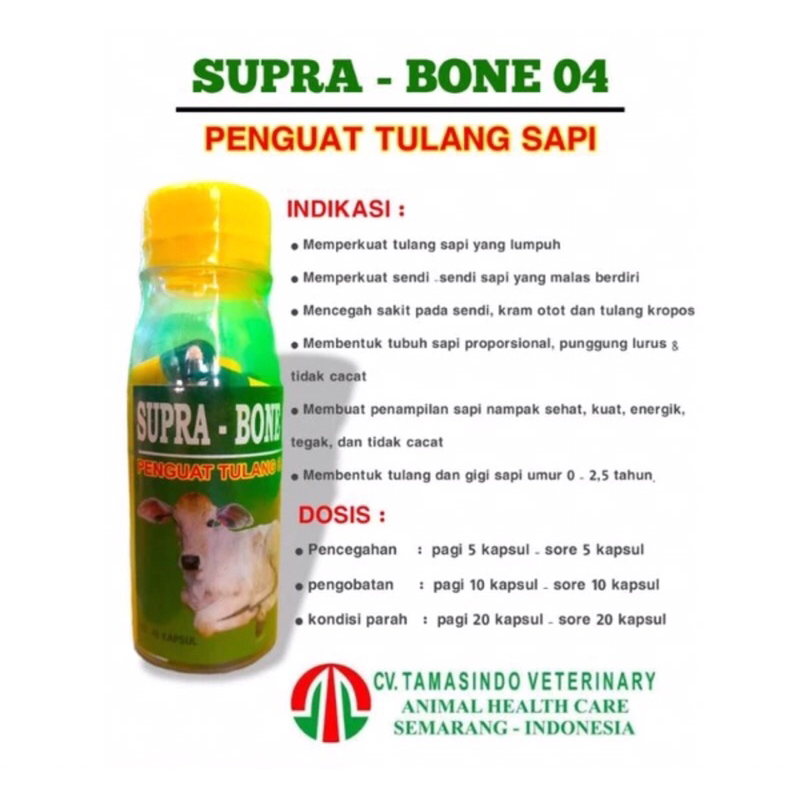 SUPRA-BONE 40 OBAT PENGUAT TULANG SAPI YANG LUMPUH