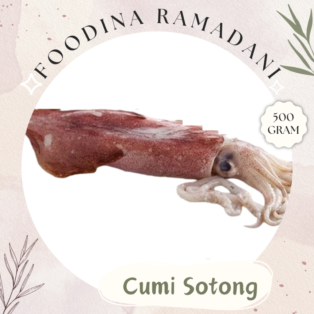 

CUMI SOTONG Jumbo Besar - Squid Fresh [ Berat 500gr ] Harga Per 0,5 Kg