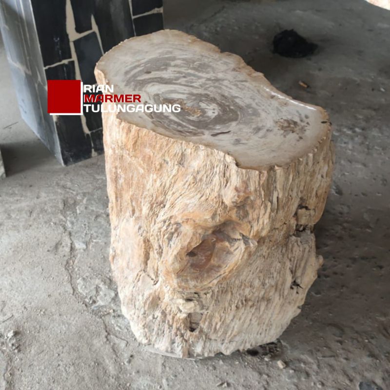 Kursi Batu fosil Kayu bulat Model Natural Alami bersih