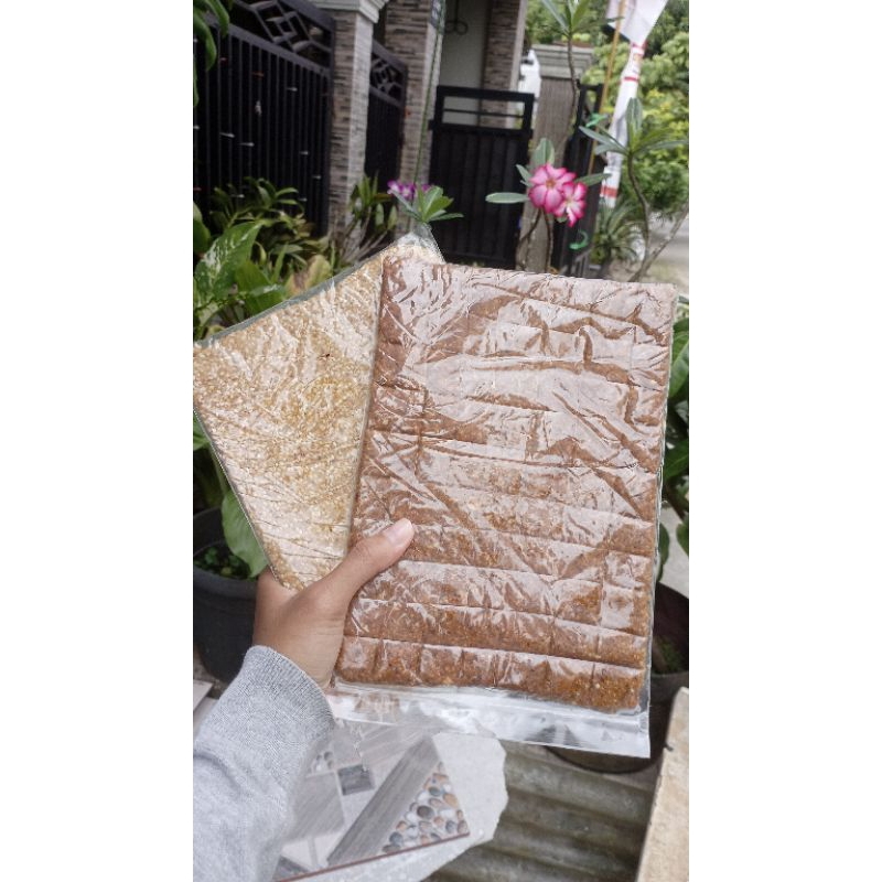 

Teng teng kacang/Noga kacang