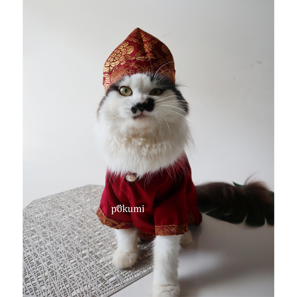 [POKUMI] Baju Kucing/Kostum kucing/Baju adat untuk kucing