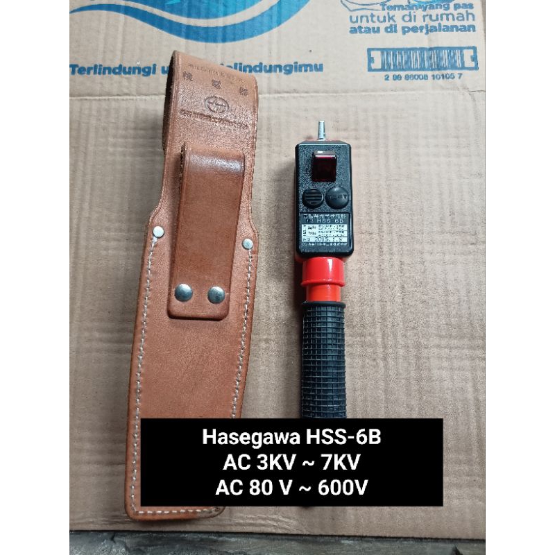 voltage detector hasegawa