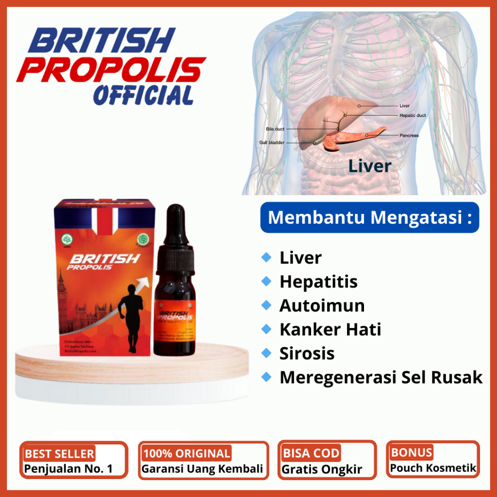 British Propolis - Obat Liver Perut Bengkak Liver Ringan Kronis Liver Pembengkakan Hati Hepatitis A