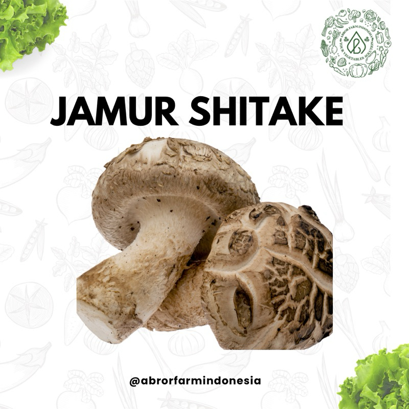 

Jamur Shitake