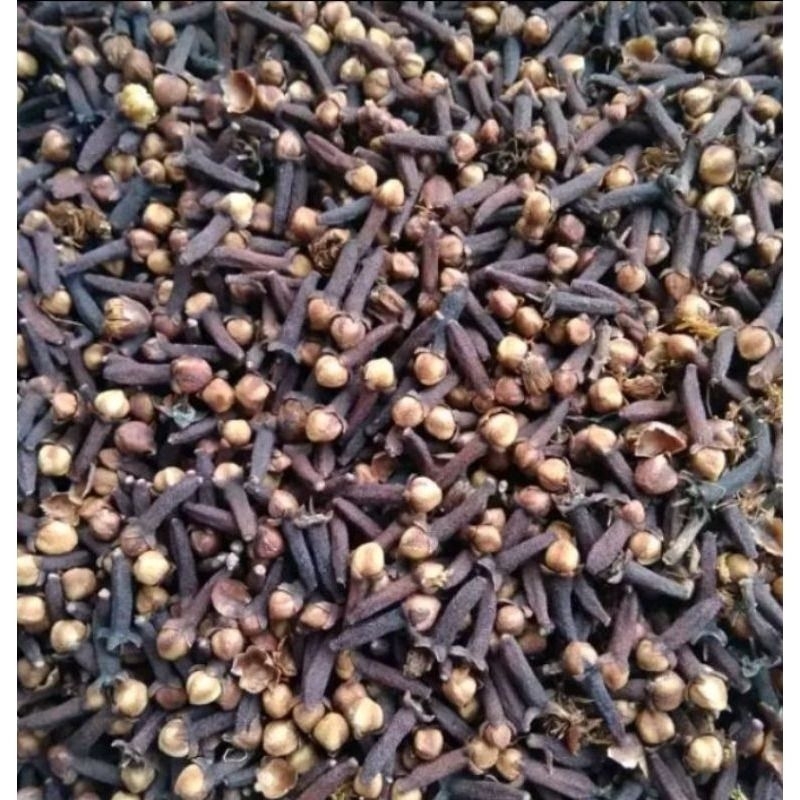

Cengkeh Cloves Kering Hasil Panen Segar Rempah Rempah Cengkeh 1KG