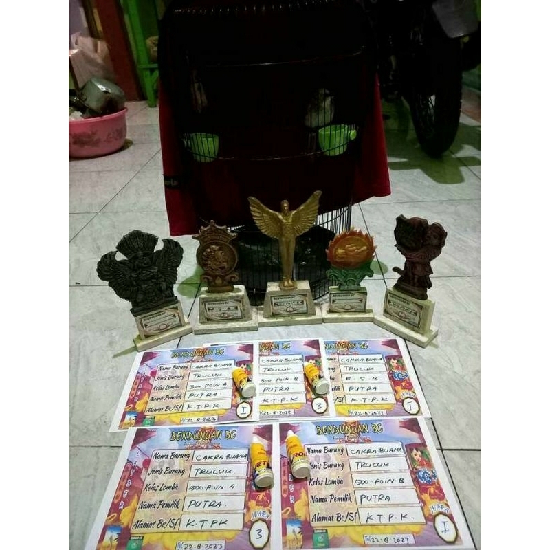 doping lomba burung trucuk