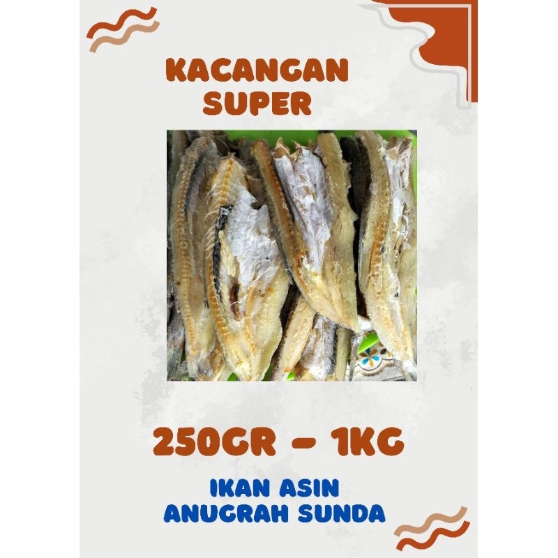 

ikan kacangan bloso atau gabus laut tersedia di ukuran 250 gr sampai 1 kg