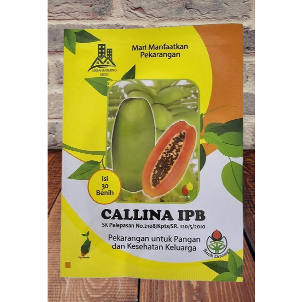 Benih Pepaya Callina IPB (IPB9)
