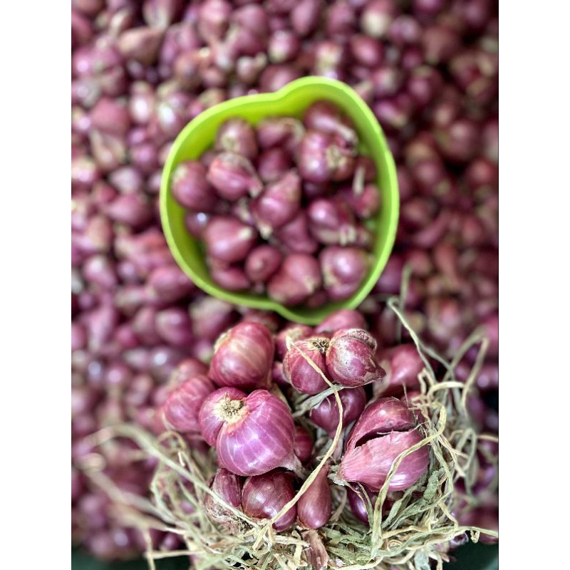 

bawang merah probolinggo tanggung gede 1kg