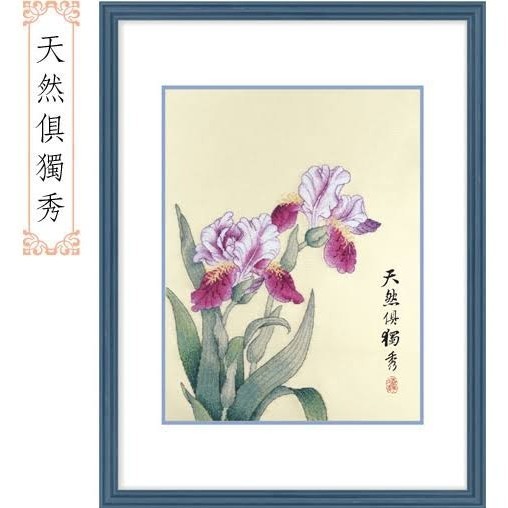 Paket kristik  Xiu Crafts 2801303 Iris