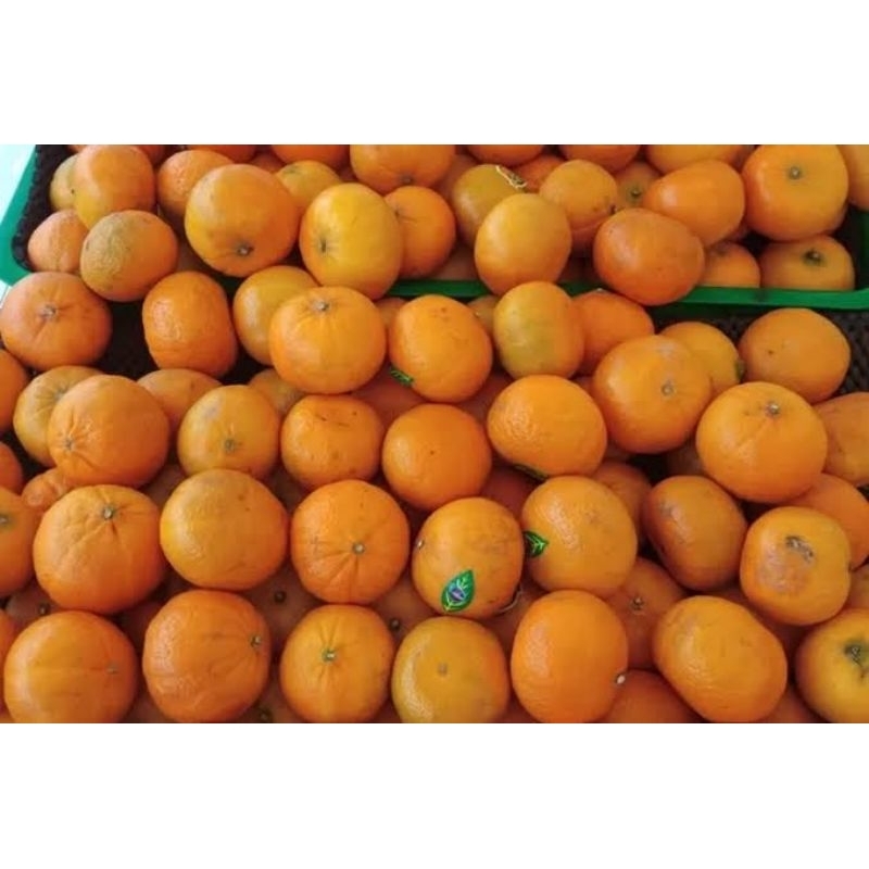 

Jeruk Sunkist 1000g