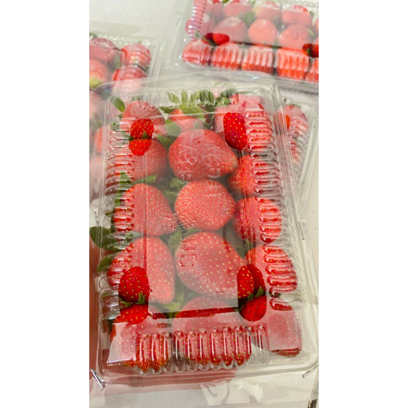 

Strawberry Organik Bandung Per Pack