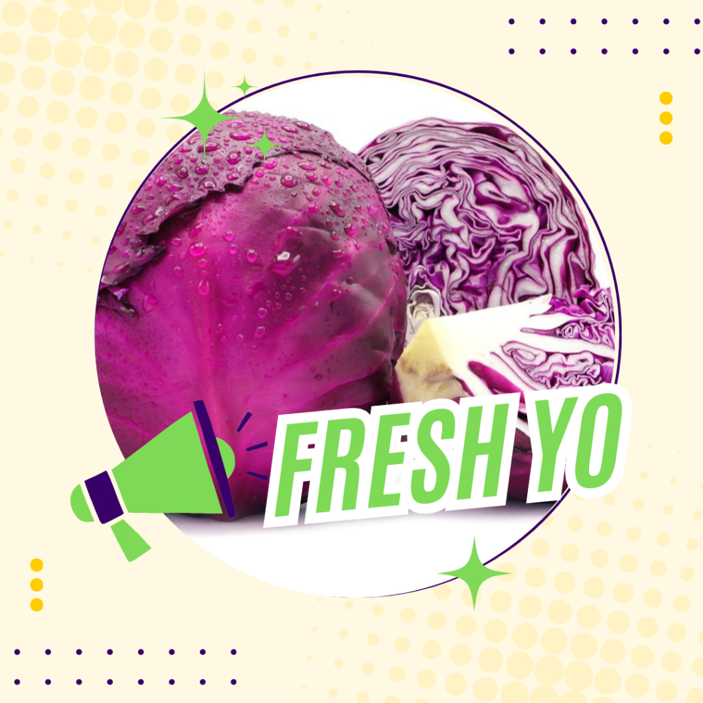 

Kol Ungu / Kobis Ungu