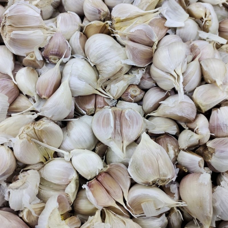 

BAWANG PUTIH KATING
